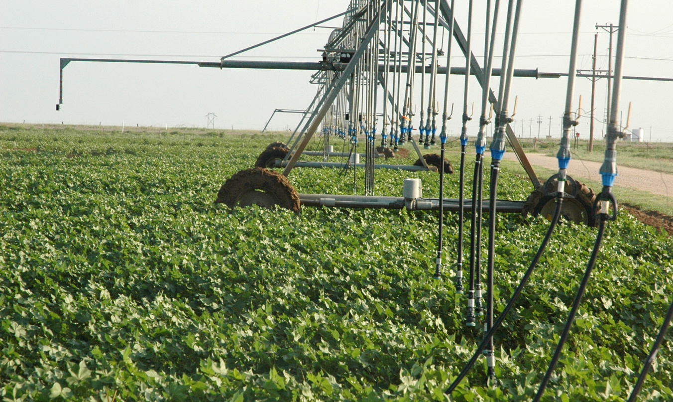 Maverick County Agricultural Irrigation Field Day set Sept. 13 in Eagle